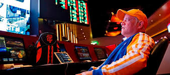 Как войти на сайт Casino Drip